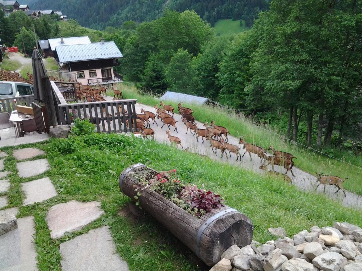 Le Refuge Des Marmottes Villa Arêches Exterior foto
